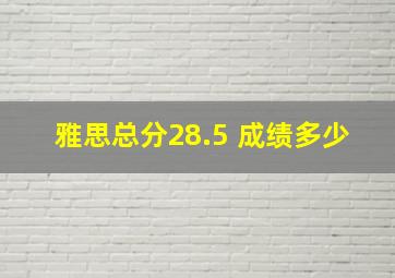 雅思总分28.5 成绩多少